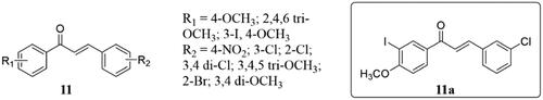 Figure 7. Simple chalcone compounds of 11.