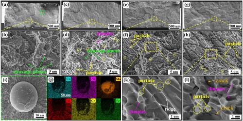 Figure 16. The tensile fracture morphologies of (a)-(b) AHT-0, (c)-(d) AHT-2, (e)-(f) AHT-10 and (g)-(h) AHT-26 samples. (i) and (j) are the high-magnification SEM map and associated EDS mapping results of bare Mo particles in (a). (k) and (l) are the high-magnification SEM maps of selected regions in (g) and (h), respectively.