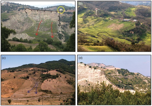 Figure 1. Four examples of different landslide typologies surveyed in the study area: (a) translational slide located on the left side of the Racanello river; (b) shallow landslide area with some recent reactivations in the Missanello territory; (c) earth-flow on the left side of Sauro river; (d) inactive rotational landslide along the left side of Agri river, featured by a well-marked concave slope profile.