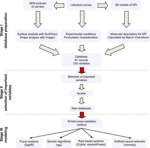 Figure 1 Scheme of work.Abbreviations: 3D, three-dimensional; SEM, scanning electron microscope; API, active pharmaceutical ingredient.