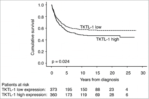 Figure 2. Disease-specific survival according to TKTL1 expression in colorectal cancer patients. Prognosis was better in those with low expression of TKTL1, and worse in those with high expression of TKTL1 (p = 0 .024)