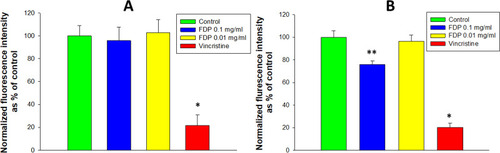 Figure 5 Effect of FDP-(NV) on HepG-2 (A) and HUVEC (B) cytoplasmic esterase activity monitored using the calcein AM assay.
