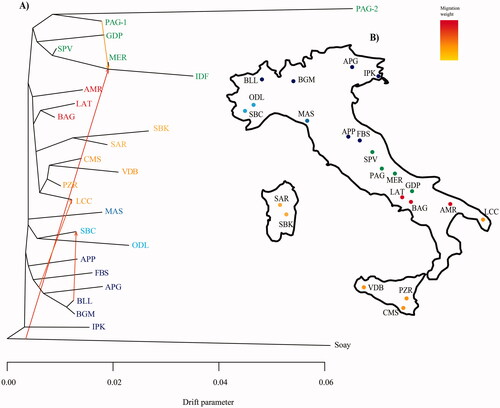 Figure 3. TREEMIX analysis with the most supported number of migration events with their relative weights (A). Geographic location of the native Italian breeds used in this study. Colours depict the main geographic cluster as highlighted in the TREEMIX analysis. For full definition of breeds see Table 1.