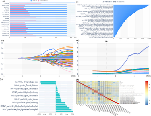 Figure 3 The construction process of the fusion model. (a) Variance threshold on feature select. (b) Select K best on feature select. (c) Lasso algorithm on feature select. (d) Lasso path-; MSE path. coefficients in Lass model. Coefficients in the Lasso model. (e) Using the Lasso model, 18 features which are correspond to the optimal alpha value were selected. (f) Heatmap depicting the correlation coefficient matrix in the radiomics model.