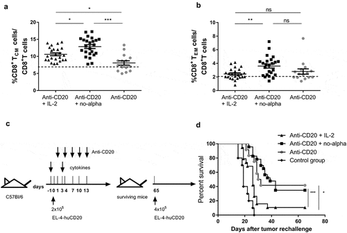 Figure 7. No-alpha mutein maintains the long-lasting protection conferred by the anti-CD20 mAb. Induction of CD8+ TCM cells (a) and CD8+ TEM cells (b) in the peripheral blood of mice injected with 2 × 105 EL4-huCD20 tumor cells and treated with anti-CD20 + no-alpha mutein measured by flow cytometry, at day 21 after tumor injection. Horizontal bars represent the mean ± SD of percentages and the dotted lines represent the mean value obtained with isotype control-treated C57Bl/6 mice for the indicated population. Data correspond to two independent experiments (n = 5–10 per group) (Kruskal-Wallis, Dunn’s post hoc test, *, P < .05; **, P < .01; ***, P < .001; ns: not significant). (c), Schematic representation of treatment schedule. (d), No-alpha mutein maintained the long-term protection conferred by anti-CD20 therapy when surviving animals were rechallenged with tumor cells. Age-matched naïve mice were injected with equal number of cells and used as controls (n = 5 per control group). Data correspond to two independent experiments (log-rank test; *, P < .05; ***, P < .001; ns: not significant).