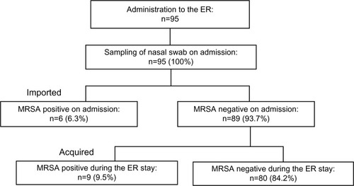 Figure 1 Distribution of the study population.Notes: Data are numbers (%) of patients. Imported: MRSA was isolated on admission (within 48 hours). Acquired: MRSA was isolated after admission (48 hours later).Abbreviations: MRSA, methicillin-resistant Staphylococcus aureus; ER, emergency department.