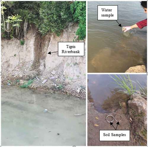 Figure 3. Water and soil samples collected from five sites at Tigris Riverbanks, Baghdad City, Iraq