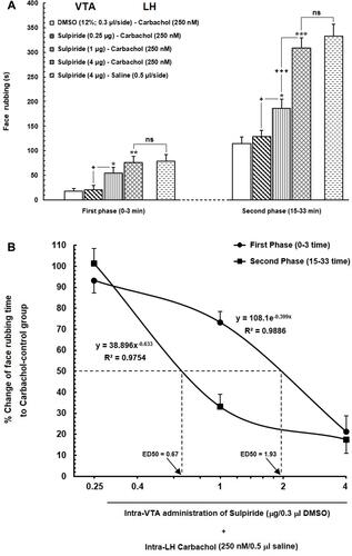 Figure 4 (A) Effect of intra-VTA injection of Sulpiride (D2-like dopamine receptor antagonist) on the LH stimulation-induced antinociception during orofacial formalin nociception. Intra-VTA administration of different doses of Sulpiride (0.25, 1 and 4 μg/0.3 μL DMSO 12%) dose-dependently attenuated antinociception produced by intra-LH microinjection of carbachol (250 nM/rat) during both early and late phases of formalin-induced orofacial nociception. (B) A log dose–response curve of the effect of intra-VTA administration of different solutions of Sulpiride (0.25, 1and 4 µg/0.3 μL DMSO 12%) on antinociception produced by carbachol during the early compared to that of late phase of formalin-induced orofacial nociception. The effective dose (ED50) of Sulpiride in the late phase (0.67 µg) was obviously less than that in the early phase (1.93 µg). Each point represents the mean ± SEM for 7–8 rats in each group. * P < 0.05, **P < 0.01 and ***P < 0.001 compared to DMSO-carbachol group +P < 0.05 and +++P < 0.001 compared to another group.Abbreviation: ns, non-significant.