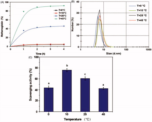 Figure 3. Effects of temperature on the PolyHb-Tempol product. Time-dependent changes in the proportion of metHb (A), particle size (B) and superoxide radical scavenging activity (C) after glutaraldehyde addition to the Hb and NH2-Tempol. Data (C) is mean ± SD of three independent experiments. The letters above the bars (a, b, c) indicate significant differences (p < 0.05) between temperature groups.