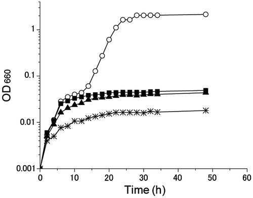 Figure 2. Growth curves of R. sphaeroides IL106 ΔnorCBQD strain in the absence (open circle) or presence of nitrite. Nitrite concentration was 2 mM (filled square), 5 mM (filled triangle), and 10 mM (asterisk), respectively. Data shown are the mean of triplicate culture tubes.