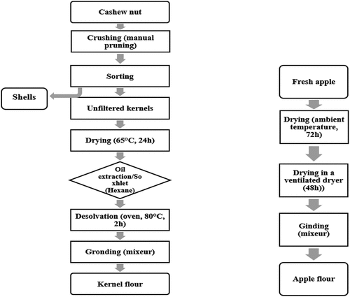 Figure 3. Different steps in the production of kernel and apple powders prior to analysis[Citation21]