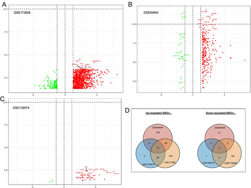 Figure 2 Volcano plot showing the gene expression changes in pSS of different tissues: (A) DEGs of non-pSS vs pSS in RNA-seq of the minor salivary gland, (B) DEGs of pSS vs HC in RNA-seq data of whole blood cells, (C) DEGs of non-pSS vs pSS in RNA-seq of minor salivary glands, and (D) Venn diagram showing the common DEGs of the 3 datasets. (A–C): Green represents down-regulated, and red represents up-regulated genes.