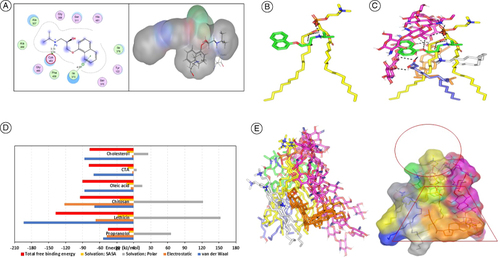 Figure 3. 2D diagram and 3D representation of propranolol hydrochloride in the 14α-demethylase binding site (A), and predicted binding poses of PNL-PC docked complex. Three-dimensional representation of PNL (green sticks) loaded on PC interface (yellow sticks), alone (B) and in combination (C) with formulation additives; chitosan (magenta sticks), OA (blue sticks), CTAB (white sticks), and CH (orange sticks). Context-described polar interactions are represented as black dashed lines. Binding free energy and configuration of simulated phospholipid, (D) MM_PBSA free binding energy calculations and dissected energy terms for formulation components, and (E) overlay of PNL-PC formulation complex across MD simulation frames (left panel) and molecular surface 3D-representation of the inverted cone micellar configuration within 100% aqueous solvation system (right panel). The Molecular surface and sticks 3D representations were illustrated in colors previously assigned for the optimized formulation components; green, yellow, magenta, blue, white, and orange colors for PNL, PC, chitosan, OA, CTAB, and CH, respectively.CH: Cholesterol; CTAB: Cetyltrimethylammonium bromide; OA: Oleic acid; PC: Phospholipid; PNL: Propranolol hydrochloride.