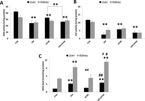 Figure 3. Antioxidant enzymes activities, SOD (A), CAT (B) and MDA level (C) in liver and kidney from control and treated rats. Data are mean ± SEM. **p < 0.01 versus CTRL; ≠ ≠ p < 0.01 versus DM; # p < 0.05, ## p < 0.01 versus UCMS. CTRL: control group, DM: Alloxan-induced diabetic rats, UCMS: unpredictable chronic mild stress group, DM + UCMS: combined group.