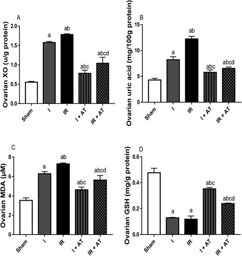 Figure 2. Effect of atorvastatin on markers of oxidative stress in ovarian I/R animal model. Data are presented as mean ± SD of 8 replicates per group. I: Ischaemia, I/R: Ischaemia/reperfusion, AT: Atorvastatin. a p < 0.05 versus sham, bp < 0.05 versus I, cp < 0.05 versus IR, dp < 0.05 versus I+ AT using one-way analysis of variance (ANOVA) followed by Tukey's post hoc test for pairwise comparison.