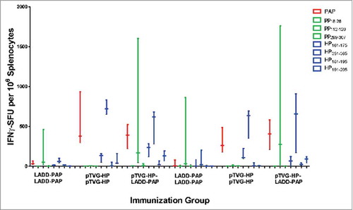 Figure 4. Differences in T-cell immunity were not due to antigen presentation by B lymphocytes. Six-to ten-week old A2/DR1 mice were intravenously injected with 250 µg anti-CD20 (clone SA271G2 antibody, panel A), or IgG as a negative control (panel B), nine days before vaccination. Mice were immunized twice three weeks apart with 1× 106 cfu LADD-PAP, 100 µg pTVG-HP, or pTVG-HP followed by LADD-PAP (n = 3 per group). One week after the last immunization splenocytes were collected for IFNγ ELISPOT analysis as above. Shown are box and whisker plots with the number of IFNγ spot-forming units (SFU) per million splenocytes for each stimulating antigen for all animals per group. Statistical comparisons were made using Mann-Whitney U test, and no comparisons between groups treated with IgG versus anti-CD20 were found to have p < 0.05.