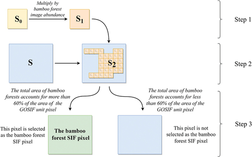 Figure 2. Schematic diagram of global OCO-2 SIF (GOSIF) data coupled with bamboo forest classification and abundance data to extract the bamboo forest solar-induced chlorophyll fluorescence (SIF). S represents the GOSIF unit pixel area; S0 represents the bamboo forest unit pixel area; S1 represents the area of the bamboo forest in the bamboo forest pixel, and S2 represents the total area of the bamboo forest in the GOSIF pixel.