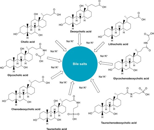 Figure 3 Various bile salts applied in oral drug delivery systems.