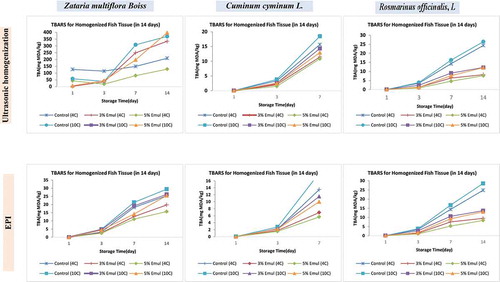 Figure 3. Evaluation of MDA levels (lipid oxidation) in control and treated samples at two 4 and 10°C temperatures during 14 days as the storage period. The treatments were performed by three Cuminum, Rosmarinus, and Zataria nanoemulsions developed via two USH and EPI emulsification methods and prepared in 3% and 5% concentrations