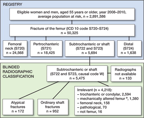 Figure 1. Identification of atypical femoral fractures in the study population. Patients from 2008 were women only. a Mechanically altered femurs include patients with knee and hip prostheses, retained plates, screws, intramedullary nails, joint arthrodeses, and other conditions.