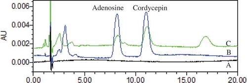 Figure 4. Stacked view of HPLC chromatograms (a) solvent (b) mixed reference standards; (c) sample.Figura 4. Vista simultánea de cromatogramas HPLC (a) solvente (b) estándares de referencia mixta; (c) muestra