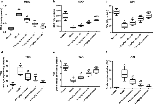 Figure 4. The COX-2 inhibitor celecoxib regulated the oxidative stress of ileum in NEC rats