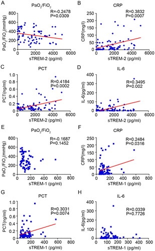 Figure 2. Correlation analysis between soluble TREM-2, TREM-1 and major clinical parameters. Relationship between soluble TREM-2 and the PaO2/FiO2 ratio (A), CRP (B), PCT (C) and IL-6 (D) in patients with moderate and severe COVID-19. Relationship between soluble TREM-1 and PaO2/FiO2 ratio (E), CRP (F), PCT (G) and IL-6 (H) in patients with COVID-19.