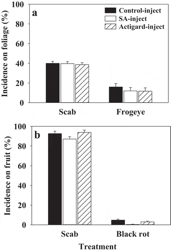 Fig. 2 Effects of salicylic acid (SA) and Actigard® injection treatments on incidence of apple scab and frogeye on foliage (a) and incidence of scab and black rot on fruit (b) of field-established ‘Cortland’ trees during 2015. Means are average of two replicates per treatment and error bars represent standard error of mean. SA (2-benzoic acid 99%; 200 mg) or Actigard® (Acibenzolar-S-methyl 50WG; 100 mg) were injected into tree trunk using an EZ-Ject Lance system. Mean incidence of scab and frogeye on foliage was assessed in planta from 50 random leaves on each tree 1, 2, and 3 weeks after the second treatment application. The incidence of scab and black rot on fruit was determined at harvest on a whole tree basis.