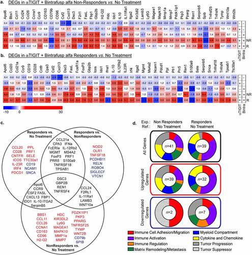 Figure 7. Differentially expressed genes following αTIGIT + bintrafusp alfa treatment. (a) Heatmap of significant differentially expressed genes between tumors from mice treated with αTIGIT + bintrafusp alfa Non-Responders in comparison to untreated animals as identified by the NanoString nCounter® PanCancer Pathways Panel. Mean fold change values are within each cell. (b) Heatmap of significant differentially expressed genes between tumors from mice treated with αTIGIT + bintrafusp alfa Responders in comparison to untreated mice as identified by the NanoString nCounter® PanCancer Pathways Panel. Mean fold change values are within each cell. Monotherapy treatment groups are included for reference (No Treatment n = 5; αTIGIT n = 5; bintrafusp alfa n = 6; αTIGIT + bintrafusp alfa Non-Responders n = 5; αTIGIT + bintrafusp alfa Responders n = 3). (c) Venn diagram of differentially expressed genes that are significant between αTIGIT + bintrafusp alfa Responders and untreated (left), αTIGIT + bintrafusp alfa Non-Responders and untreated (bottom), and αTIGIT + bintrafusp alfa Responders and αTIGIT + bintrafusp alfa Non-Responders (right). Genes in red are upregulated, genes in blue are downregulated. (d) Graphical representation of function of differentially expressed genes (top row – all genes, middle row – upregulated genes, lower row – downregulated genes) between experimental groups and reference groups. DEGs = differentially expressed genes. NR = Non-Responders. R = Responders. Exp. = experimental group. Ref. = reference group. Numbers in the middle of the pie charts indicate the number of differentially expressed genes.