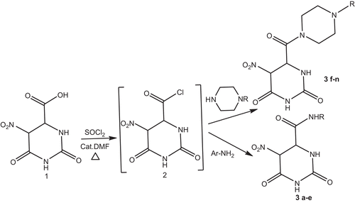 Scheme 1.  Synthesis protocol of the compounds.
