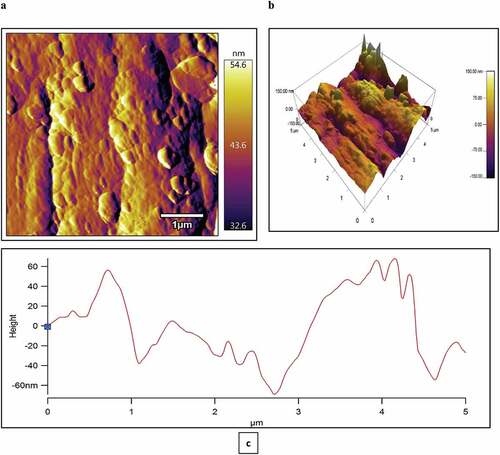 Figure 4. Surface topographical AFM images of raw CA fiber in (A) 2D (B) 3D and (C) line plot of CA fiber.