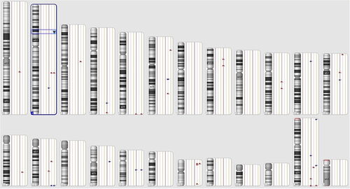 Figure 8 Karyoview of patient’s and parents’ chromosomal microarray results. Note a deletion within the 2p15 region in patient and no deletion in parents.