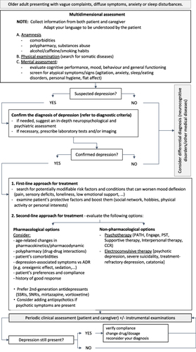 Figure 1 Pocket guide for the assessment and management of geriatric depression in everyday clinical practice.