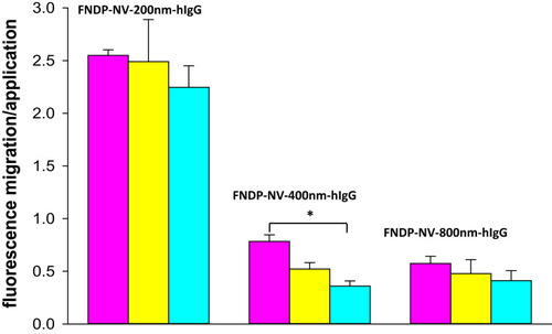Figure 4 Ratio of MZ to AZ fluorescence after mobilization of FNDP-NV-hIgG on NCMs.Notes: Ratios of MZ to AZ were calculated from the data presented in Figure 3. Values for the 1 mg/mL FNDP-NV-hIgG concentration only are graphed. Pink bars represent HiF-75, yellow bars HiF-135, and cyan bars HiF-180. (*) P<0.001 One-way ANOVA.Abbreviations: MZ, migration zone; AZ, application zone; FNDP-NV-hIgG, fluorescent nanodiamond particles with NV active centers, coupled to human immunoglobulin G; NCM, nitrocellulose membrane; HiF, Hi-FlowTM Plus; SD, standard deviation.