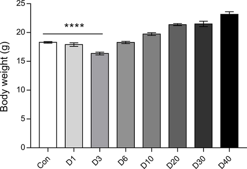 Figure 2 The body weight of mice at D0 (Control), D1, D3, D6, D10, D20, D30, and D40 post high-altitude adaptation. Values are presented as mean ±SD, N=15-30. ****P<0.0001: D1 group, D3 group, D6 group, D10 group, D20 group, D30 group, and D40 group vs Control (D0) group.