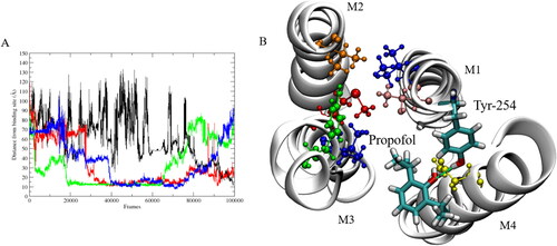 Figure 3. (A) Distance between interacting propofol molecules and COM of experimental binding site. (B) Snapshot showing the binding site in which propofol (licorice representation) interacts with Tyr-254 (licorice representation) and Asn-307 (yellow). The anesthetic binding site residues are shown; Tyr-193 (green), Ile-202 (blue), Met-205 (red), Val-242 (orange), Thr-255 (pink) and Ile-259 (blue). M1-M4 are the transmembrane helices located in each subunit. Hydrogen-bond between propofol and Tyr-254 shown by green dashed line.