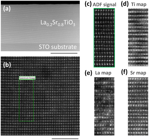 Figure 3. (a) Low-magnification and (b) high-magnification Z-contrast images of a 250 nm thick LSTO layer viewed along the STO[110] zone axis. Scale bars represent 200 nm in (a) and 4 nm in (b). (c) Annular-dark field (ADF) image of the region marked in (b). (d–f) EELS elemental maps of the region marked in (b) corresponding to Ti L2,3, La M4,5 and Sr L2,3 edges, respectively.