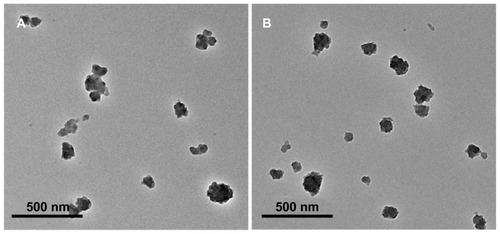 Figure 2 Transmission electron microscopic images of (A) SynB-PEG nanoparticles decorated with gelatin-siloxane, and (B) PEG-gelatin-siloxane nanoparticles.