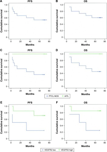 Figure 1 Outcomes of patients treated with ECHOP (Recombinant human endostatin in combination with CHOP regimen).