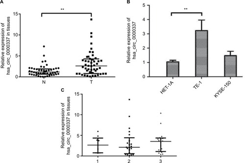 Figure 1 Expression of hsa_circ_0000337 in ESCC tissues and cell lines.Notes: (A) The Wilcoxon signed-rank test showed that the expression of hsa_circ_0000337 in cancer tissues was upregulated compared to matched adjacent normal-appearing tissues. (B) The expression of hsa_circ_0000337 in the esophageal carcinoma cell line TE-1 was higher than that in the normal human esophageal epithelial cell line HET-1A, but was not significantly changed in KYSE-150. (C) There was a slight upward trend when comparing clinical samples with poor to well differentiation grades. The three lines in (A) and (C) represent the median with interquartile ranges. 1: moderate-poor or poor differentiation; 2: moderate differentiation; ands3: well-to-moderate or well-differentiation. **P<0.01.Abbreviations: ESCC, esophageal squamous cell carcinoma; N, adjacent normal-appearing tissue; T, cancer tissue.