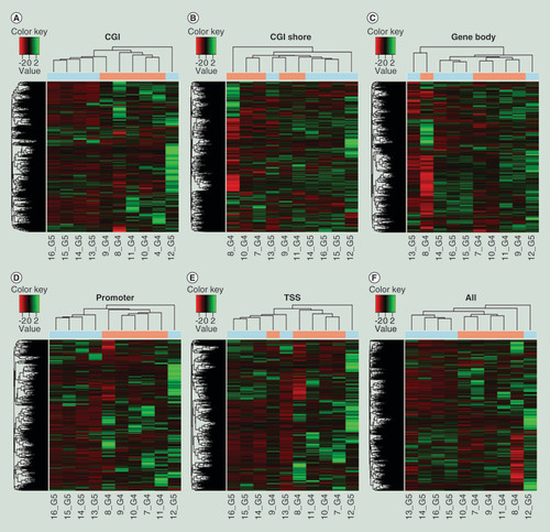 Figure 8.  Methylation profiles at various genomic regions differ based on the anticoagulant used (acid-citrate-dextrose vs ethylenediaminetetraacetic) at the time of blood sample collection.Heat map based on ComBat-adjusted DNA methylation profiles in CGI (A); CGI shore (B); gene body (C); promoter (D); TSS (E) and all the genomic regions (F) of G4 and G5. Each color in the top horizontal bar indicates different anticoagulant group (blue – G4 [ACD] and pink – G5 [EDTA]).ACD: Acid-citrate-dextrose; CGI: Cytosine-phosphate-guanine island; EDTA: Ethylenediaminetetraacetic acid; TSS: Transcription start site.