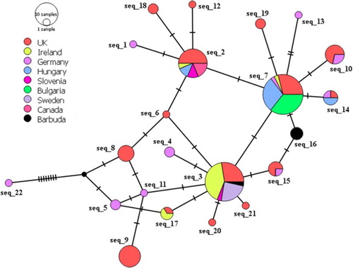 Figure 2. Median joining network of relationships among eleventh century AD to modern European and Barbudan mitochondrial haplotypes where each circle represents a unique haplotype and the size of the circle indicates relative frequency of the haplotype. Twenty-two haplotypes (based on 704 base pairs) are represented.