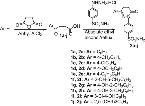 Scheme 1.  Synthetic route for the preparation of pyridazinones.