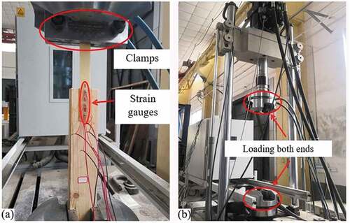 Figure 4. (A)specimen details and (b)test setup.