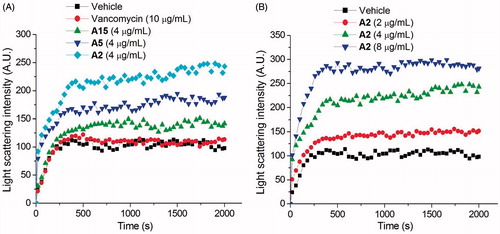 Figure 4. Effect of quinolinium derivatives on the polymerization of FtsZ. (A) Effect on the polymerization of FtsZ in the absence or in the presence of 4 μg/mL of compound A2, A5, and A15, or 10 μg/mL of vancomycin. (B) The polymerizations of FtsZ in the presence of compound A2 at the concentrations of 2, 4, and 8 μg/mL.