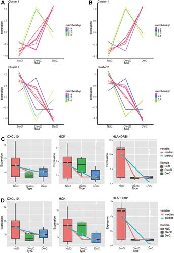 Figure 6 Identification of progressively dysregulated genes during the development of diabetic retinopathy. (A and B) Progressively dysregulated genes under (A) standard glucose (SG) and (B) high glucose (HG) conditions were identified by STEM analysis in the trend: healthy controls < diabetes mellitus < diabetic retinopathy. The genes were then clustered into a progressively upregulated cluster (Cluster 1) and a progressively downregulated cluster (Cluster 2). (C and D) Expression of CXCL10, HCK, and HLA-DRB1 genes among healthy controls, diabetic retinopathy, and diabetes mellitus under (C) SG and (D) HG conditions.