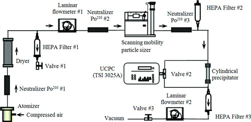 FIG. 2 Schematic diagram of the experimental setup. (Color figure available online.)