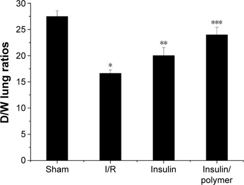 Figure 7 The level of D/W lung ratios for different groups of rats.Notes: The pulmonary tissues of Sham, I/R, Insulin, and Insulin/polymer groups rats were collected 24 hours after reperfusion and the levels of D/W lung ratios measured. Results are expressed as mean ± SD. A significant decrease from Sham group is denoted by *P<0.01, a significant increase from I/R groups is denoted by **P<0.01, and a significant increase from I/R groups is denoted by ***P<0.01.Abbreviations: D/W, dry/wet; I/R, ischemia/reperfusion; SD, standard deviation.