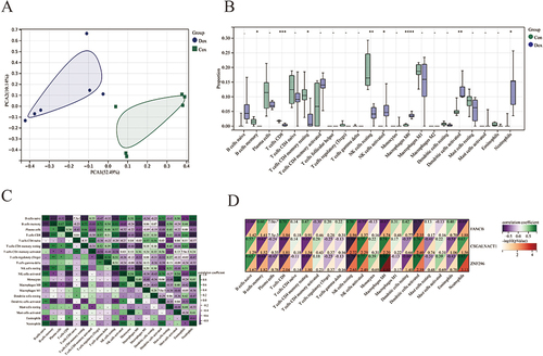 Figure 7 Immune cell infiltration analysis and relationships between critical signatures and immune cells in DIC. (A) Principal component analysis (PCA) cluster plot of gene expression profiles between doxorubicin samples and control samples in the training set. (B) Box plot of the proportion of 22 types of immune cells. (C) Heatmap of correlations in 20 types of immune cells. The colored squares represent the strength of the correlation; red represents a positive correlation, and blue represents a negative correlation. Darker color implies stronger association. (D) Correlations between FANCB, ZNF296, CSGALNACT1, and infiltrating immune cells. (*P<0.05, **P < 0.01, ***P < 0.001, ****P < 0.0001, - P ≥ 0.05).