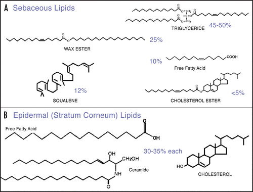 Figure 1 Representative structures of epidermal surface lipids.